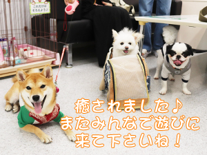 卒業生が愛犬と遊びに来てくれました♪